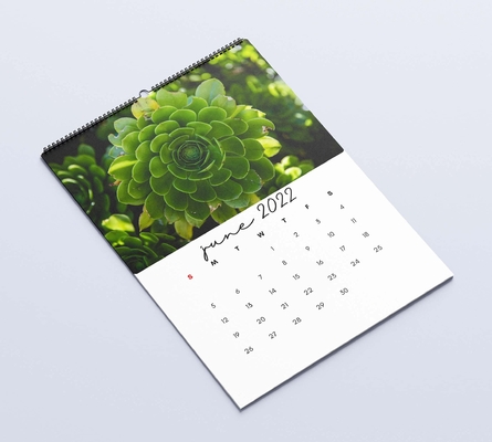 Tischkalender mit mattierter Laminierung zum Drucken von 600–1000 g/m² monatlichen Wandkalendern