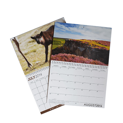 Verschiedene Größen C2S Kunstdruckpapier Kalenderdruck 128 g/m² 157 g/m² 190 g/m² 210 g/m²