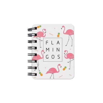 70 g/m² Fashion Cute A4 Notizbücher Mini-Notizbuch mit Spiralbindung