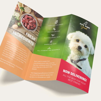 ISO9001 Flyer Design und Druck Benutzerdefinierte Farbe Professioneller Flyerdruck